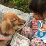 動物愛護支援