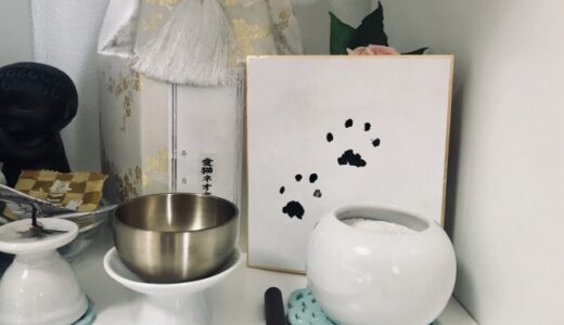 品川区で大切なペットが亡くなった場合、葬儀や火葬について解説します。
